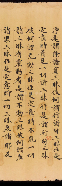 般若波罗蜜三昧品 - 第29页