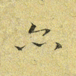 亦