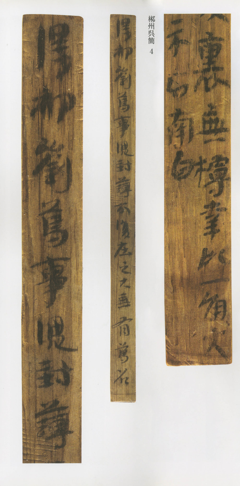 郴州吴简 - 第5页