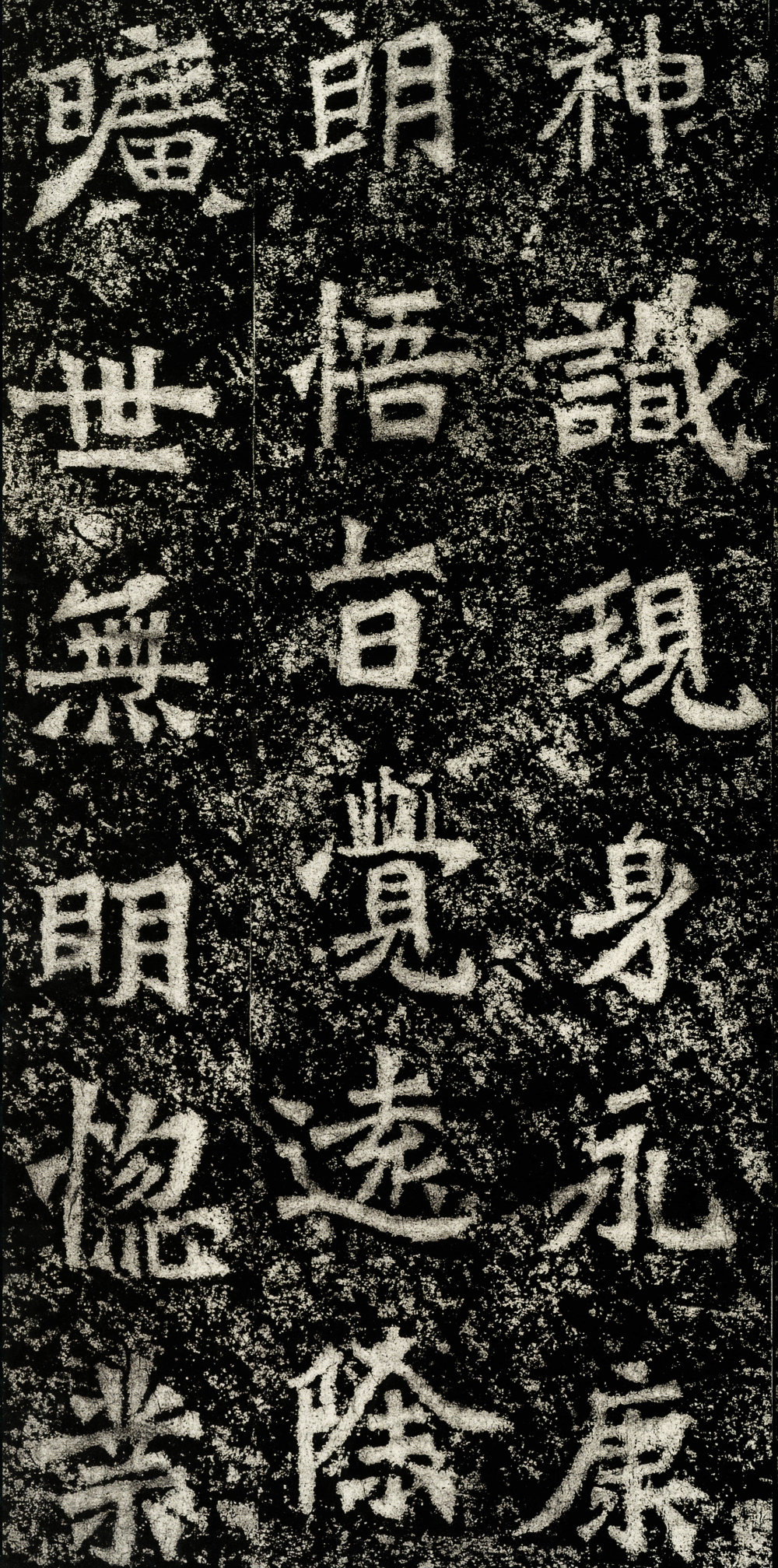 太妃侯造像记 - 第5页