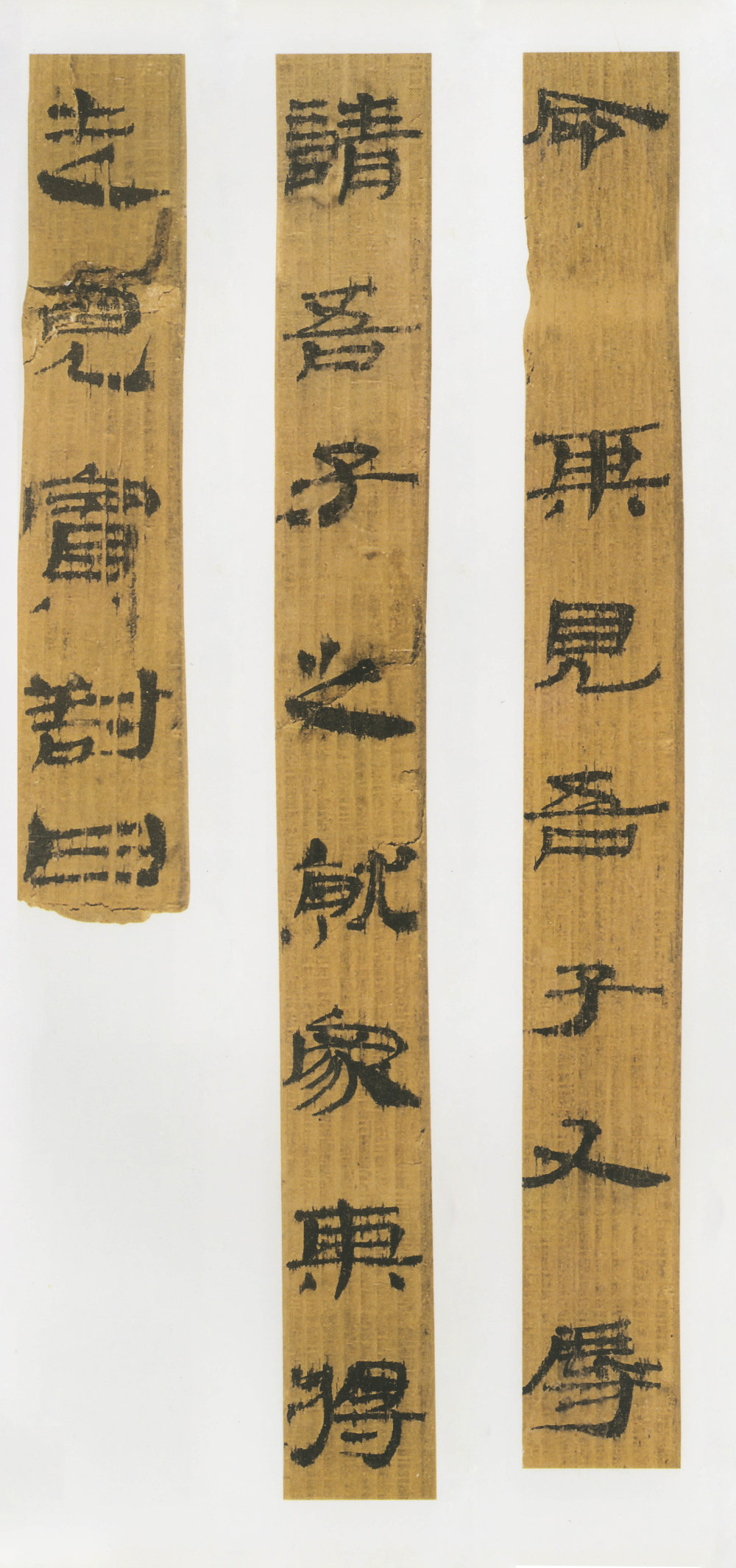 武威王莽新简 - 第3页
