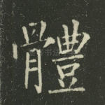 体