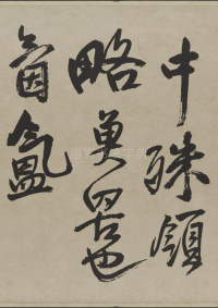 赠张抱一行书诗卷 - 第25页
