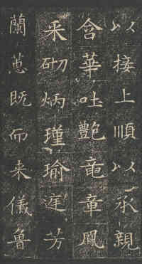 董美人墓志 - 第3页