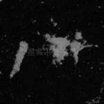 八