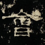会
