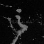 之