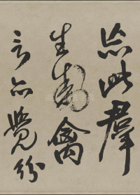 赠张抱一行书诗卷 - 第22页