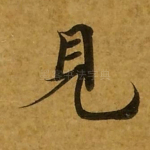 见