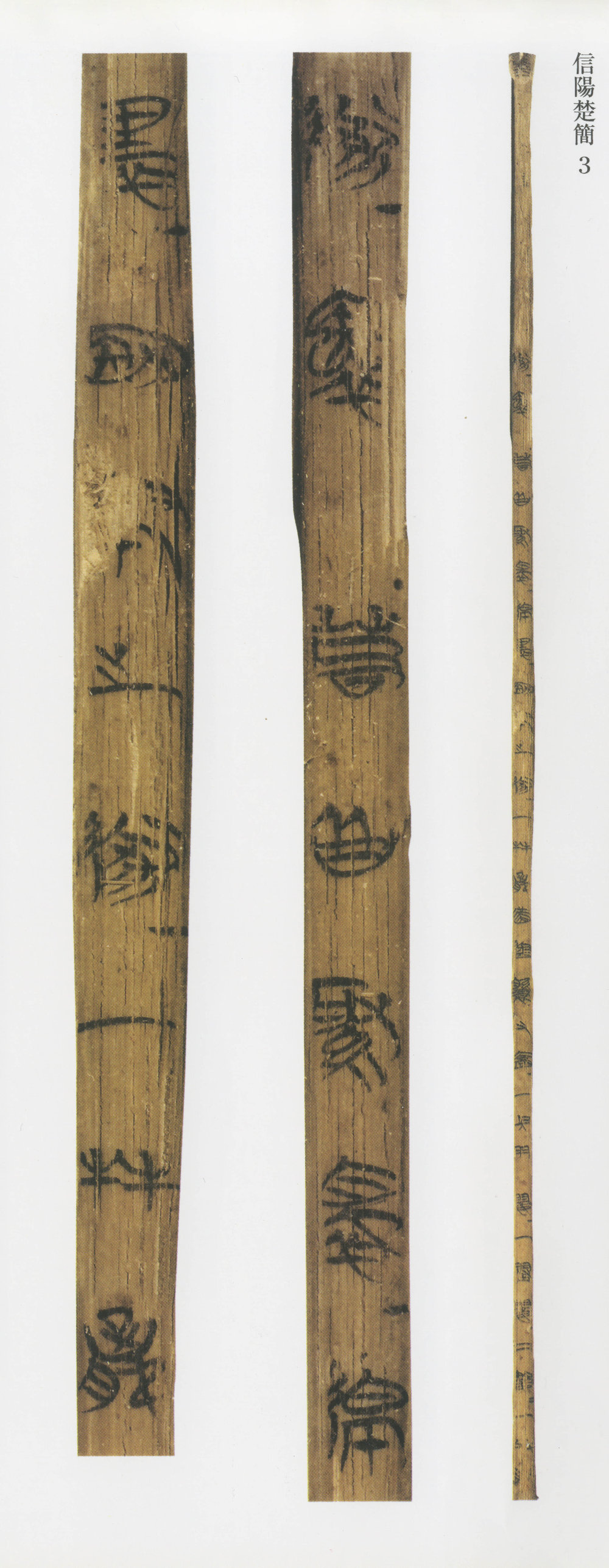 信阳楚简 - 第5页