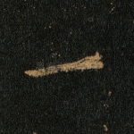 一