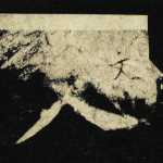 文