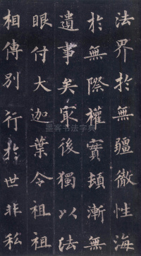 圭峰定慧师碑 - 第8页
