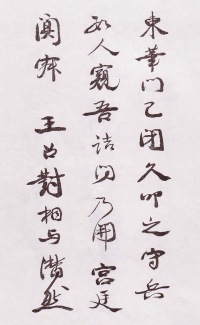 自书诗卷 - 第11页