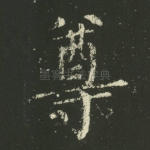 尊