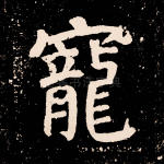 宠