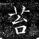 苔