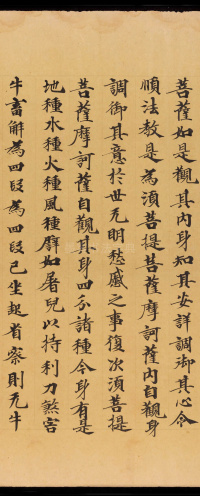 般若波罗蜜三昧品 - 第48页