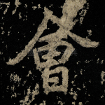 会
