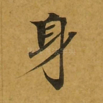 身