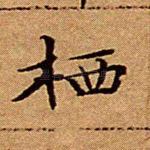 栖