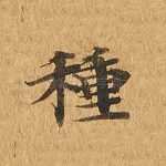 种