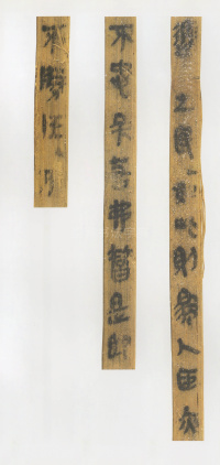 云梦睡虎地秦简 - 第45页