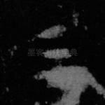 三