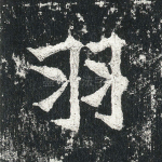 羽
