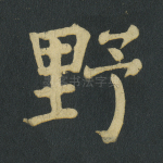野