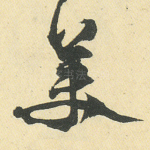 美