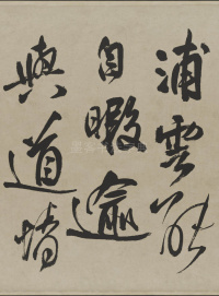 赠张抱一行书诗卷 - 第8页