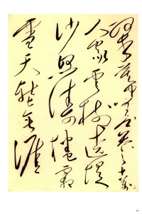 毛泽东书法选乙编-第五册 - 第48页