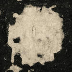 体