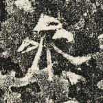 参