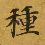 种