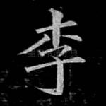 李
