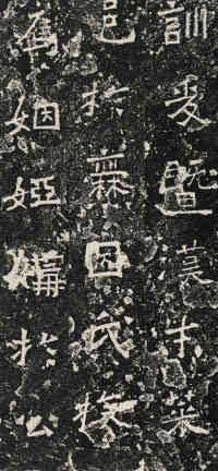 爨龙颜碑 - 第9页