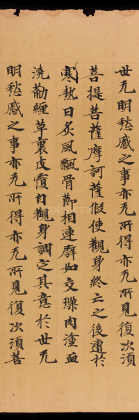 般若波罗蜜三昧品 - 第54页