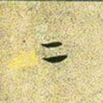 玄