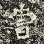 曹