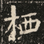 栖