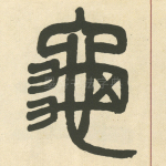 龜