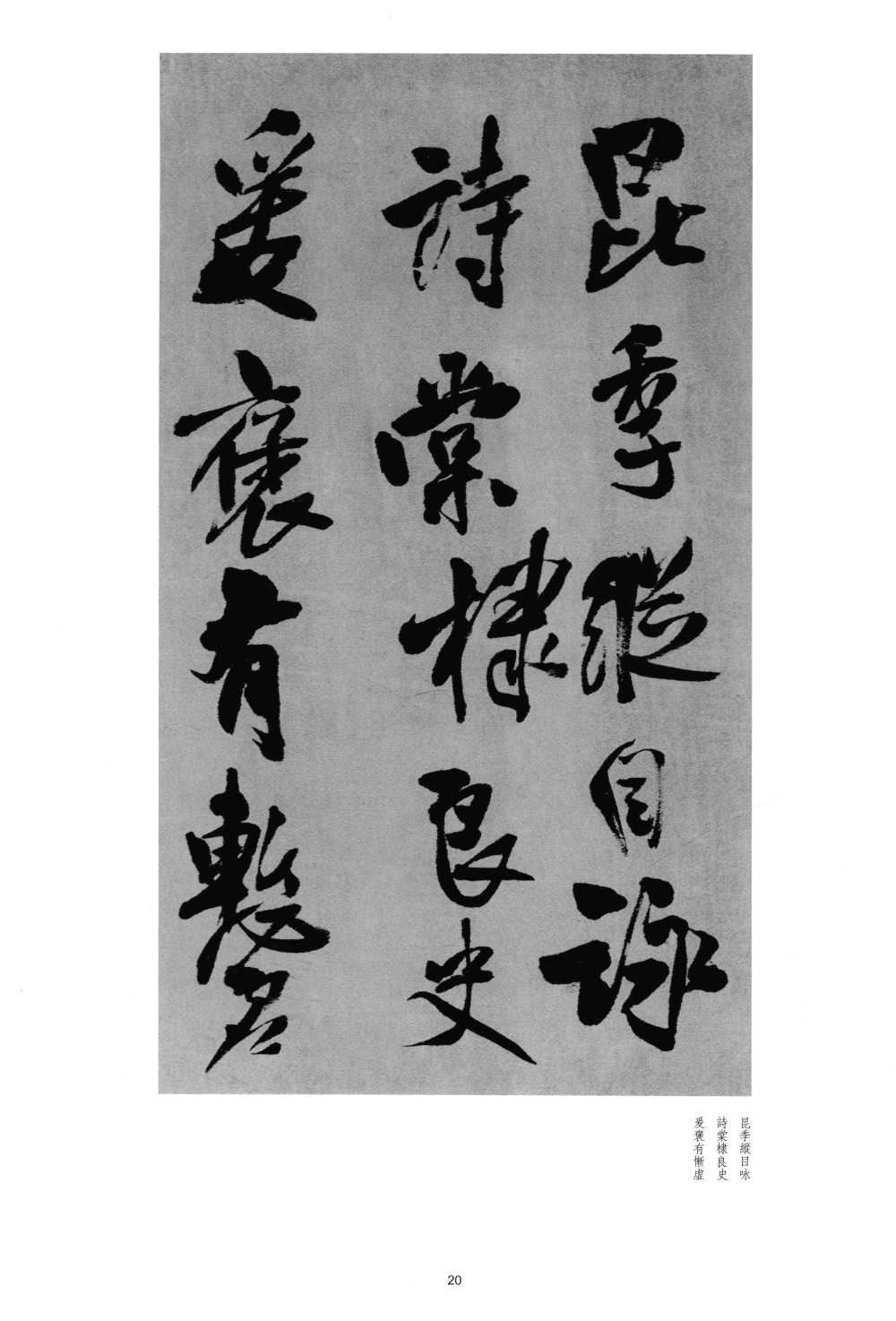 行摇在原 - 第5页