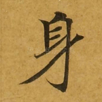 身