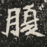 腹