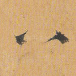 八