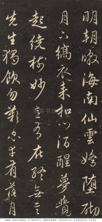 梅花诗 - 第9页