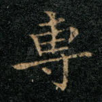 专