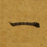 一